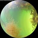 ./images/calvert/underwater/20260824/underwater20260824_163001M.jpg
