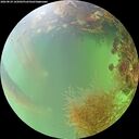 ./images/calvert/underwater/20260824/underwater20260824_165002M.jpg