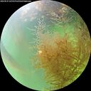 ./images/calvert/underwater/20260824/underwater20260824_165501M.jpg