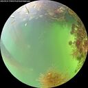 ./images/calvert/underwater/20260824/underwater20260824_170001M.jpg