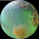 ./images/calvert/underwater/20260824/underwater20260824_170501M.jpg