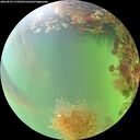 ./images/calvert/underwater/20260824/underwater20260824_171001M.jpg