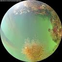 ./images/calvert/underwater/20260824/underwater20260824_171501M.jpg