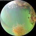 ./images/calvert/underwater/20260824/underwater20260824_172001M.jpg