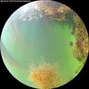 ./images/calvert/underwater/20260824/underwater20260824_172501M.jpg