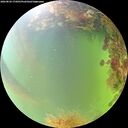 ./images/calvert/underwater/20260824/underwater20260824_174501M.jpg