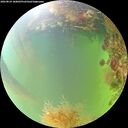 ./images/calvert/underwater/20260824/underwater20260824_180001M.jpg