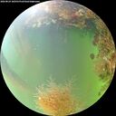 ./images/calvert/underwater/20260824/underwater20260824_180501M.jpg