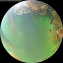 ./images/calvert/underwater/20260824/underwater20260824_181001M.jpg