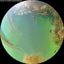 ./images/calvert/underwater/20260824/underwater20260824_183001M.jpg