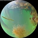 ./images/calvert/underwater/20260824/underwater20260824_184002M.jpg