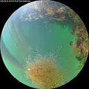./images/calvert/underwater/20260824/underwater20260824_185501M.jpg