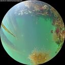./images/calvert/underwater/20260824/underwater20260824_190001M.jpg