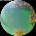 ./images/calvert/underwater/20260824/underwater20260824_190501M.jpg