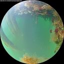 ./images/calvert/underwater/20260824/underwater20260824_191002M.jpg