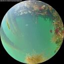 ./images/calvert/underwater/20260824/underwater20260824_193001M.jpg