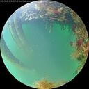 ./images/calvert/underwater/20260824/underwater20260824_194001M.jpg