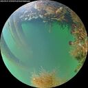 ./images/calvert/underwater/20260824/underwater20260824_195002M.jpg