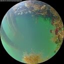 ./images/calvert/underwater/20260824/underwater20260824_195501M.jpg