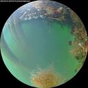 ./images/calvert/underwater/20260824/underwater20260824_200501M.jpg