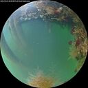 ./images/calvert/underwater/20260824/underwater20260824_202001M.jpg