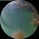 ./images/calvert/underwater/20260824/underwater20260824_203501M.jpg