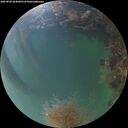 ./images/calvert/underwater/20260824/underwater20260824_204001M.jpg