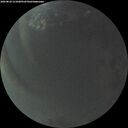 ./images/calvert/underwater/20260824/underwater20260824_211001M.jpg