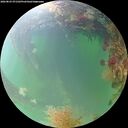 ./images/calvert/underwater/20260825/underwater20260825_071502M.jpg