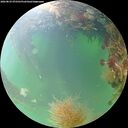 ./images/calvert/underwater/20260825/underwater20260825_072501M.jpg