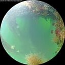 ./images/calvert/underwater/20260825/underwater20260825_074001M.jpg