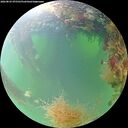 ./images/calvert/underwater/20260825/underwater20260825_075501M.jpg