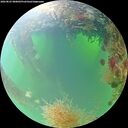 ./images/calvert/underwater/20260825/underwater20260825_080001M.jpg