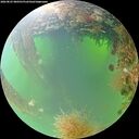 ./images/calvert/underwater/20260825/underwater20260825_080501M.jpg