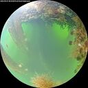 ./images/calvert/underwater/20260825/underwater20260825_081001M.jpg