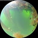 ./images/calvert/underwater/20260825/underwater20260825_081501M.jpg