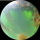 ./images/calvert/underwater/20260825/underwater20260825_083501M.jpg