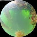 ./images/calvert/underwater/20260825/underwater20260825_084001M.jpg