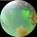 ./images/calvert/underwater/20260825/underwater20260825_084501M.jpg
