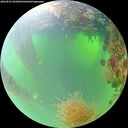 ./images/calvert/underwater/20260825/underwater20260825_085002M.jpg
