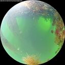 ./images/calvert/underwater/20260825/underwater20260825_085501M.jpg