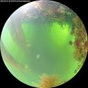 ./images/calvert/underwater/20260825/underwater20260825_091002M.jpg