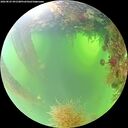 ./images/calvert/underwater/20260825/underwater20260825_091501M.jpg