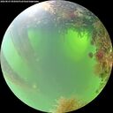 ./images/calvert/underwater/20260825/underwater20260825_092002M.jpg
