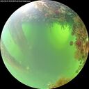 ./images/calvert/underwater/20260825/underwater20260825_092501M.jpg