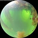 ./images/calvert/underwater/20260825/underwater20260825_093002M.jpg