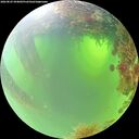 ./images/calvert/underwater/20260825/underwater20260825_094002M.jpg