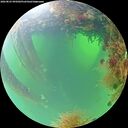 ./images/calvert/underwater/20260825/underwater20260825_095002M.jpg