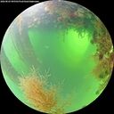 ./images/calvert/underwater/20260825/underwater20260825_095501M.jpg