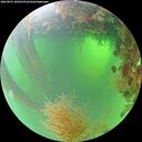 ./images/calvert/underwater/20260825/underwater20260825_100501M.jpg